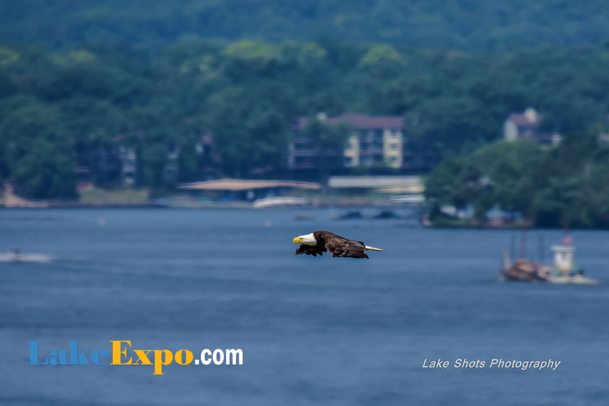 Bald Eagle 1_MilitaryPokerRun 194-2-125.jpg